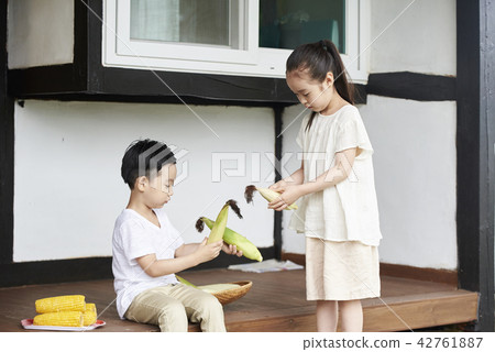 Life, Children, Koreans 42761887