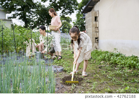 Garden, experiential learning, Korean 42762188