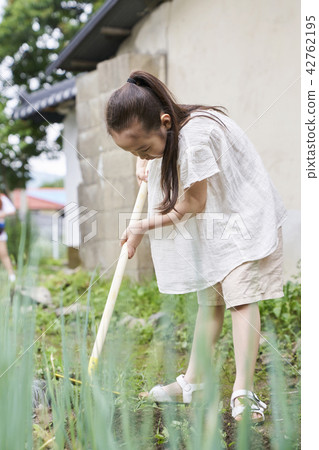 Garden, experiential learning, Korean 42762195