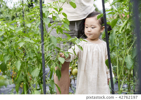 Garden, experiential learning, Korean 42762197