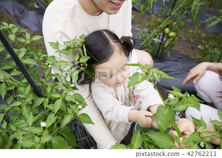 花園,體驗式學習,韓語 花園,體驗式學習,韓語 42762211