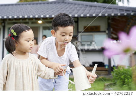 生活,房子,花園,家庭,韓國 生活,房子,花園,家庭,韓國 42762237