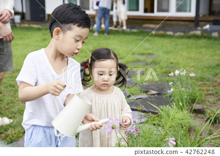 Life, House, Garden, Family, Korean Life, House, Garden, Family, Korean 42762248
