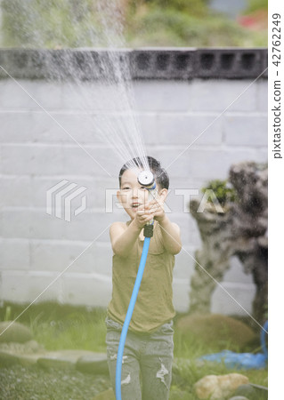 生活,房子,花園,家庭,韓國 生活,房子,花園,家庭,韓國 42762249