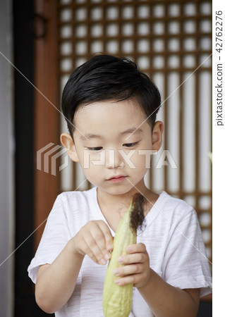 Life, corn, korean Life, corn, korean 42762276