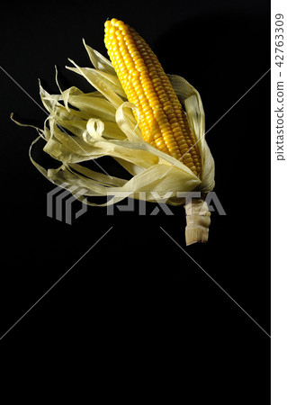 Negative corn 42763309
