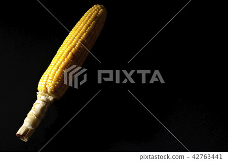 corn  42763441