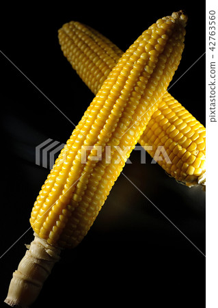 Corn 42763560