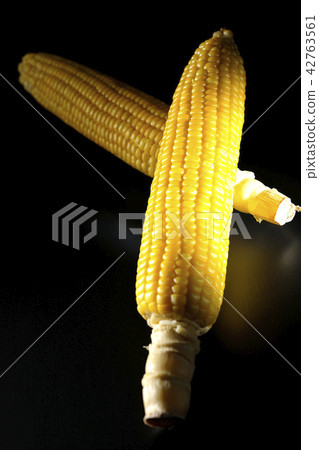 Corn Corn 42763561