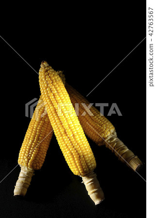 Corn Corn 42763567