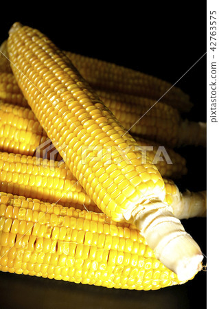 Corn 42763575