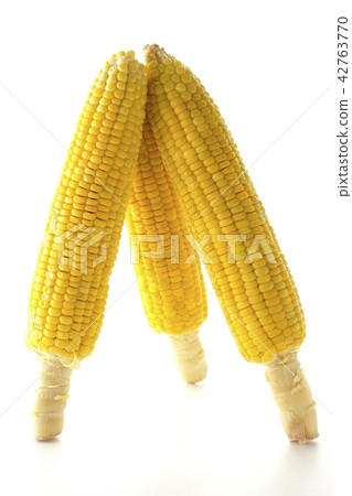 Corn Corn 42763770