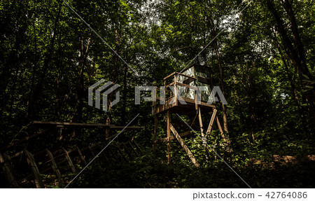 A Secluded Hunting Blind In The Woods 42764086