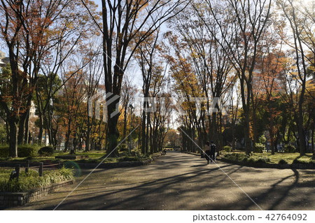 Hisayodo Odori Park in the late autumn Hisayodo Odori Park in the late autumn 42764092
