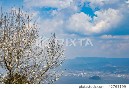 Omura Wan Kotono Park 42765199