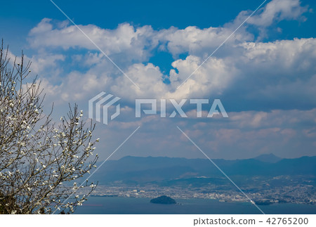 Omura Wan Kotono Park 42765200