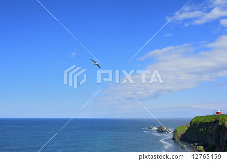 Kirintori of blue sky 42765459
