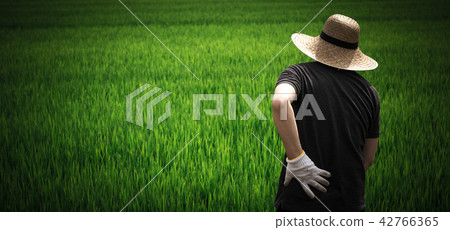 A farmer 42766365