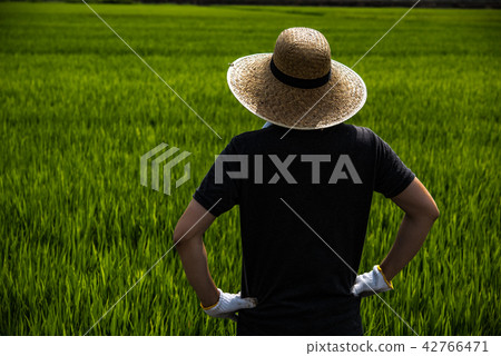 A farmer A farmer 42766471
