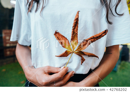 Woman hold nice yellow leaf in hand. 42768202