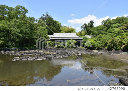 Mishima City Park Shinjukuen 42768990