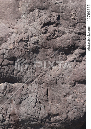 粗糙的皮膚 42769235