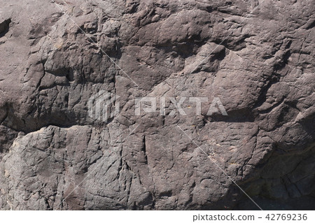 粗糙的皮膚 42769236