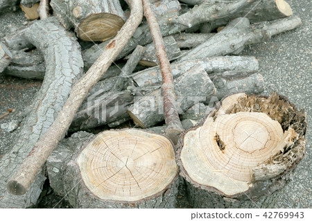A log A log 42769943