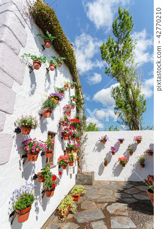Shima Spain Village (May Parque España Spring) Shima Spain Village (May Parque España Spring) 42770210