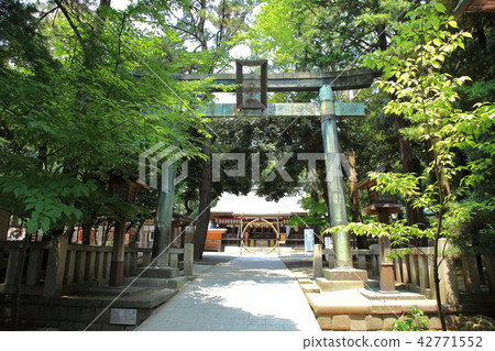 Hiratsuka Hachimangu Shrine Hiratsuka 42771552