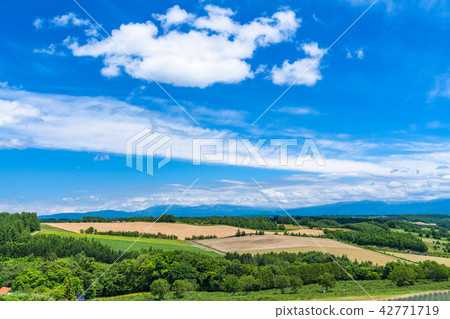 "Hokkaido" Hakkei's Eight Views - Fukayama Pass 42771719