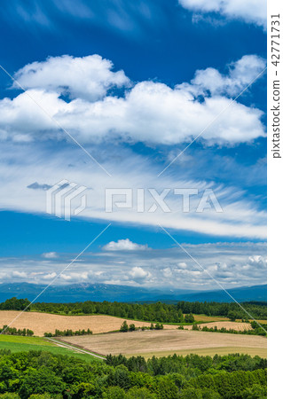 "Hokkaido" Hakkei's Eight Views - Fukayama Pass "Hokkaido" Hakkei's Eight Views - Fukayama Pass 42771731