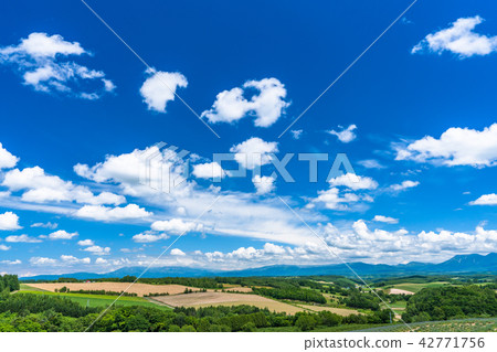 “北海道”Hakkei的八景 - Fukayama Pass “北海道”Hakkei的八景 - Fukayama Pass 42771756