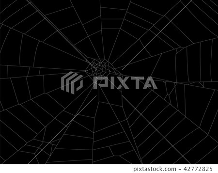 Round spider web element illustration for design. Round spider web element illustration for design. 42772825