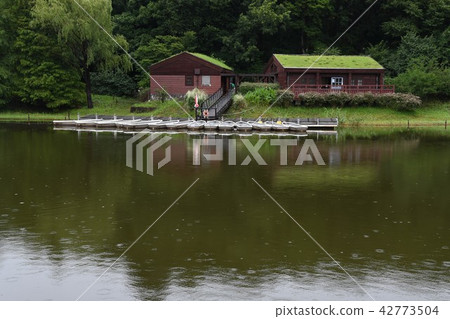 公園的水邊 公園的水邊 42773504