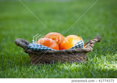 Mandarin Basket Summer Garden  42774575