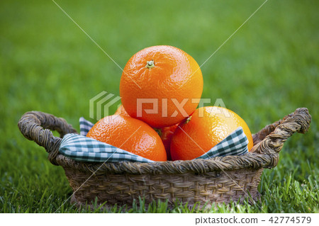 Mandarin Basket Summer Garden  42774579