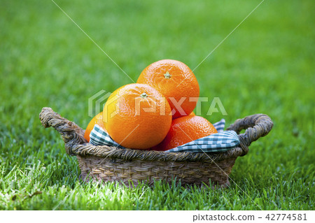 Mandarin Basket Summer Garden  42774581
