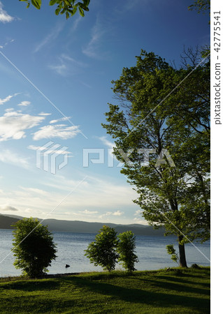 Kussharo lakeside in the summer Kussharo lakeside in the summer 42775541