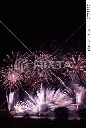 東京煙花 42775717