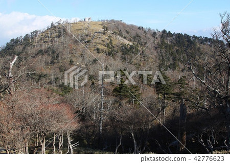 Mt. Odigaruyama, Hinoigatake 42776623