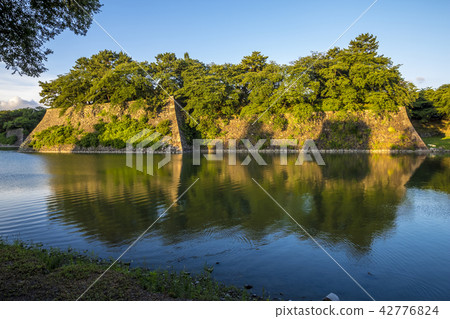 愛知縣名古屋城堡 愛知縣名古屋城堡 42776824