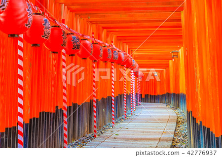 Kyoto Fushimi Inari Taisha Senbon Torii Kyoto Fushimi Inari Taisha Senbon Torii 42776937