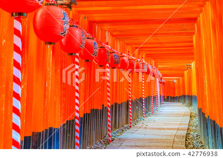京都伏見稻荷大社千本鳥居 42776938