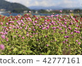  Flower garden 42777161