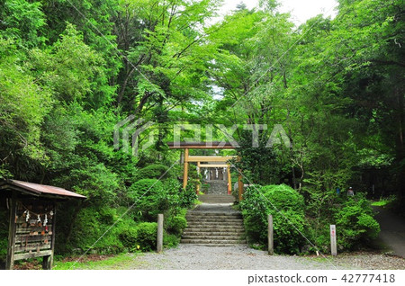 Torii at Okinawa Shrine in Hakone Sengokuhara and Omikuji Knobyu Torii at Okinawa Shrine in Hakone Sengokuhara and Omikuji Knobyu 42777418