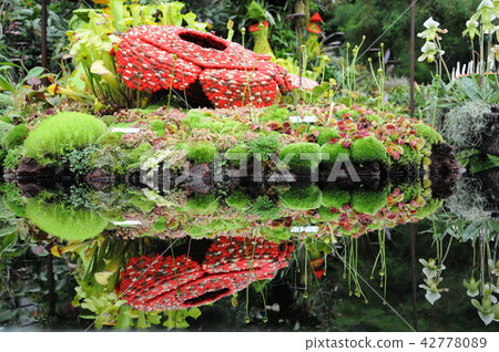 Artificial flower on water surface 42778089
