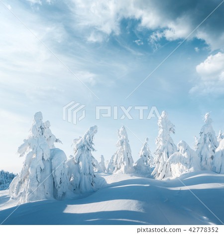 Fantastic winter landscape Fantastic winter landscape 42778352
