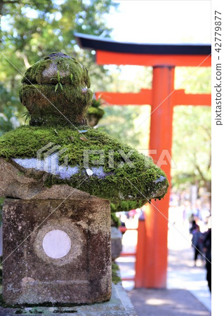 Lantern of Kasuga Shrine's worship road Lantern of Kasuga Shrine's worship road 42779877