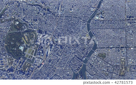 東京城市景觀/東京廣域真正俯瞰鳥瞰圖 42781573